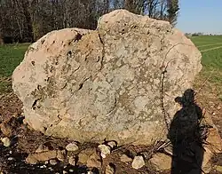 Menhir du Ronceau