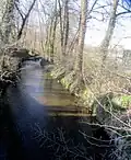 la Sereine encore aux Avoux