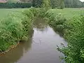 La Solre à Obrechies.