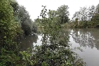 La Tortue à Wavrin