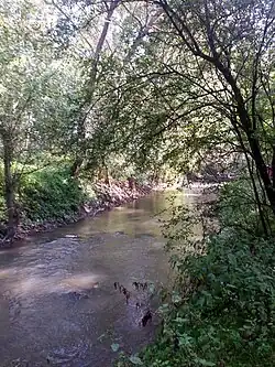 La Veude près de sa confluence à hauteur de Rivière.