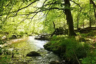 La Vienne à Rempnat (Haute-Vienne).