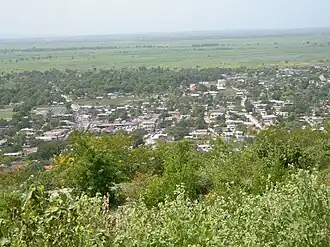 Dessalines (ville)