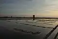 Marais salants.