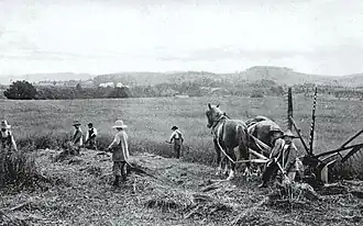 La moisson à l'orphelinat de Huberdeau, vers 1910