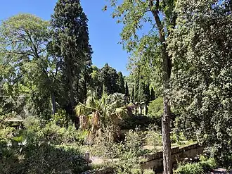 Vue de la « montagne ».