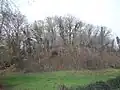 La motte féodale d'Épineuil-le-Fleuriel