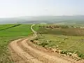 Plaine du Gri