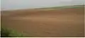 La plaine pannonienne près de Vršac