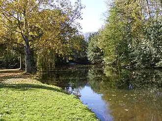 Voultegon