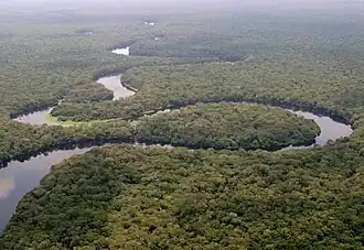 Photographie aérienne d'une forêt congolaise.