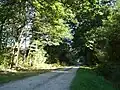 La route verte.