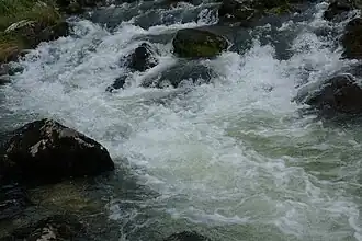 Source de la Saine, eaux tumultueuses.