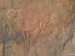 Gravure pariétale dite de « la vache qui pleure », vallée de Mathendous : peut-être les ancêtres du bétail watusi.
