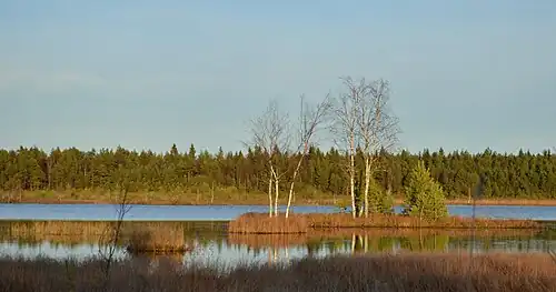 Le lac Laanemaa