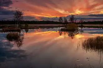 Image illustrative de l’article Lac Laanemaa