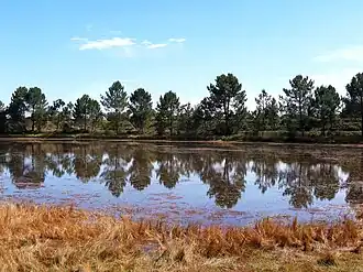 Le petit lac
