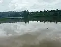 Lac municipale de Dschang