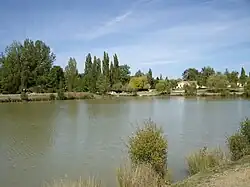 Lac