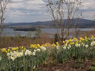 Image illustrative de l’article Lac Brome