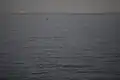 Lac Khyargas view from the shore