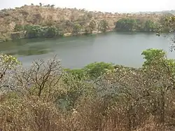 Lac Tyson.