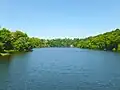 Le lac d'Arguenon à Plėven (photo prise du pont entre Pléven (rive gauche) et Plorec-sur-Arguenon (rive droite). Au loin on aperçoit l'ancien manoir du Rocher en Pléven avec son colombier).