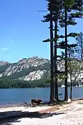 Berges du lac.