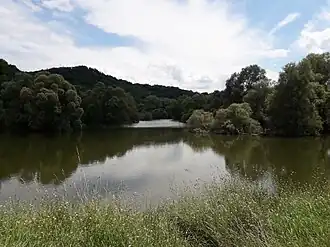 Partie sauvage du bras sud-est.