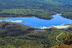 Lac des Cygnes.