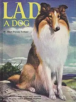 Image illustrative de l’article Lad, A Dog