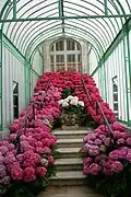 Escalier vers le pavillon des Palmiers