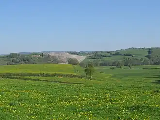 Fléty