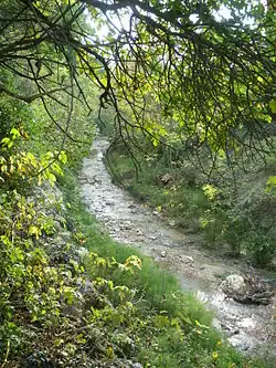 Ruisseau de la Combe, affluent de la Salette