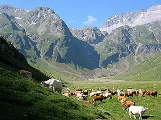 Cirque de Barroude en vallée de La Gela dans le nord-est.