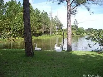 Formoso do Araguaia