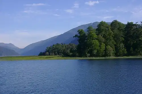 Lac Pirihueico.