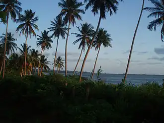 Vue de la lagune Mundaú