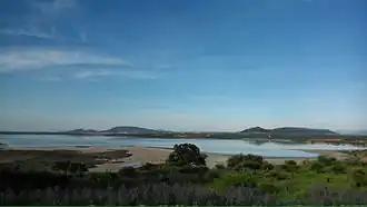 Image illustrative de l’article Lagune de Fuente de Piedra