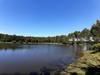 La lagune