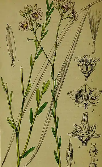 Description de l'image Lahore to Yārkand (17636347368).jpg.