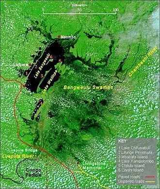 Image illustrative de l’article Lac Bangwelo