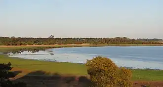 Lake Bolac