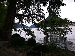 Id.