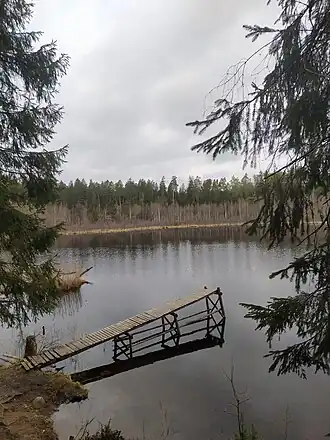 Dans le Нарачанскі (нацыянальны парк)&nbsp;(be) du voblast de Minsk. Mai 2022.