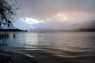 Lac Quinault et forêt humide dans la brume