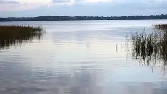 Image illustrative de l’article Saimaa (lac)