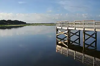 Image illustrative de l’article Lac Tohopekaliga