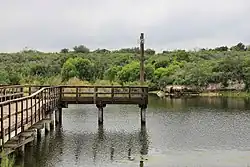 Vue d'un ponton sur un lac. L'arrière plan présente de nombreux arbres