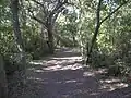 Chaco